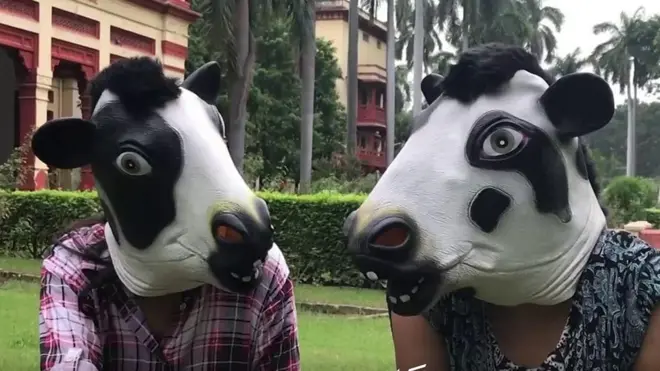 انڈیا گائے ماسک