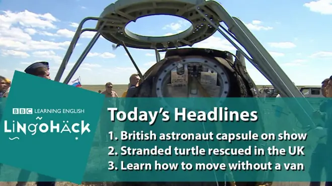 Заголовки тижня