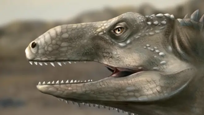 Nova espéciefoguetinho na betanoréptil foi batizada por pesquisadoresfoguetinho na betanoPagosvenator candelariensis