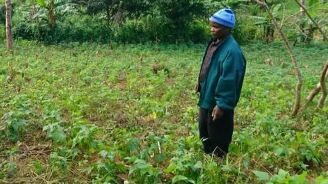 ሓረስታይ ፒተር ክሳብ 100 ዶላር ዝግመት ዘራእቲ ብሰንኪ ከቢድ ዝናብ ከሲሩ