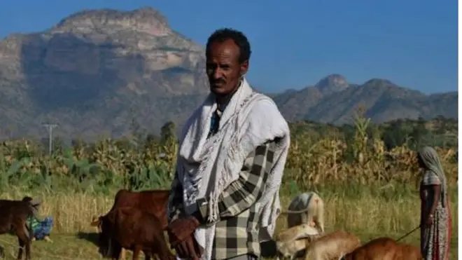 ኣስታት 5.2 ሚልዮን ህዝቢ ናይቲ ክልል ተጸበይቲ ረዲኤት ኮይኖም ምህላዎም ሕቡራት ሃገራት ይገልጽ