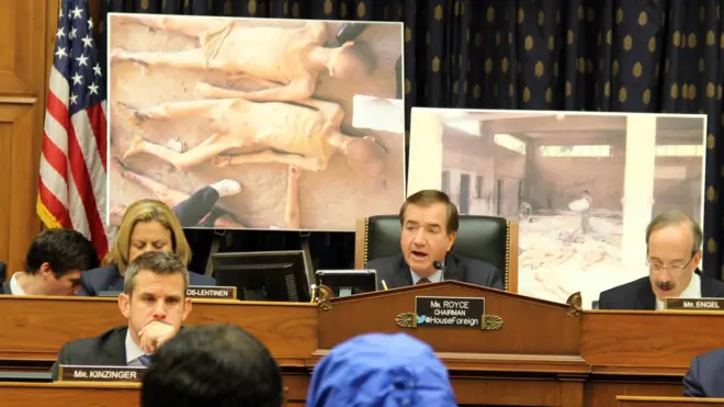 هوية المصور العسكري سيزر المنشق عن النظام السوري مخفية ولا يظهر علناً أمام الكاميرات، وهنا يرتدي سترة زرقاء في جلسة أمام مجلس النواب عن الشؤون الخارجية في واشنطن. 31 يوليو/تموز 2014