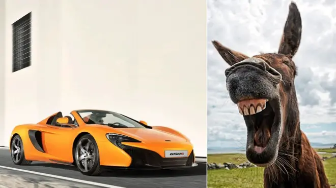 Gaariga waa nooca raaxada oo leh midibka Karootka