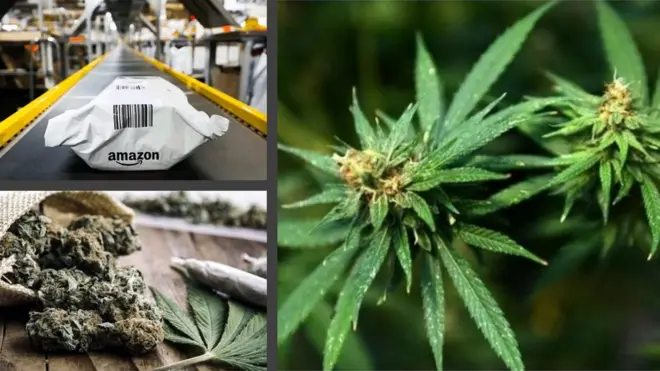 అమెజాన్ ద్వారా గంజాయి విక్రయం