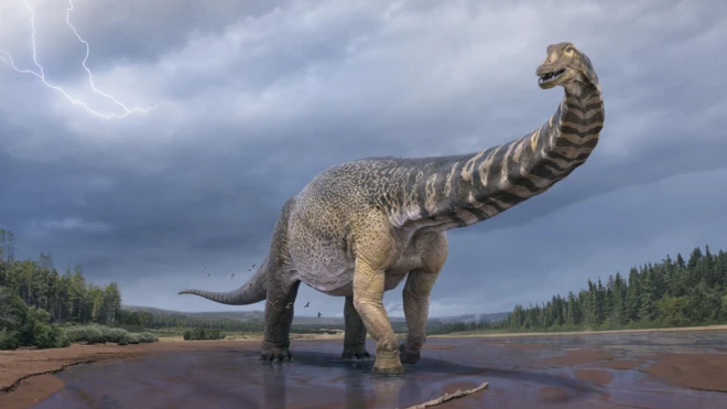 A computer rendering of what the Australotitan would have looked like