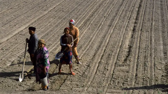 Ўзбек деҳқонлари