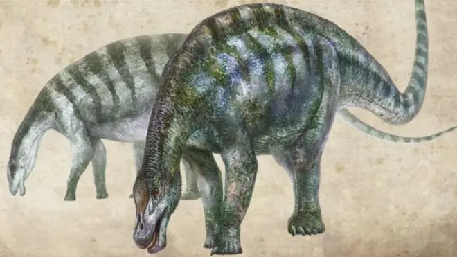 Ilustración de Lingwulong shenqi