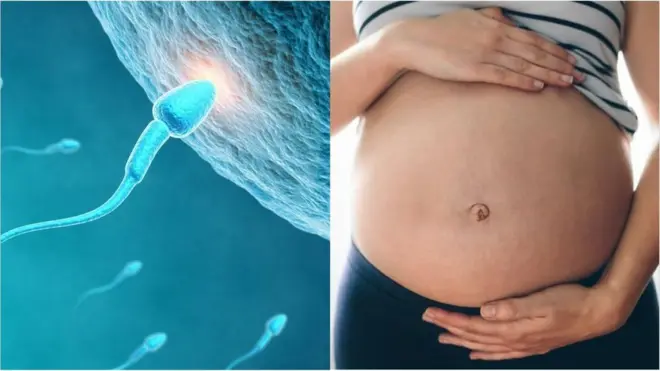 వీర్య దానం