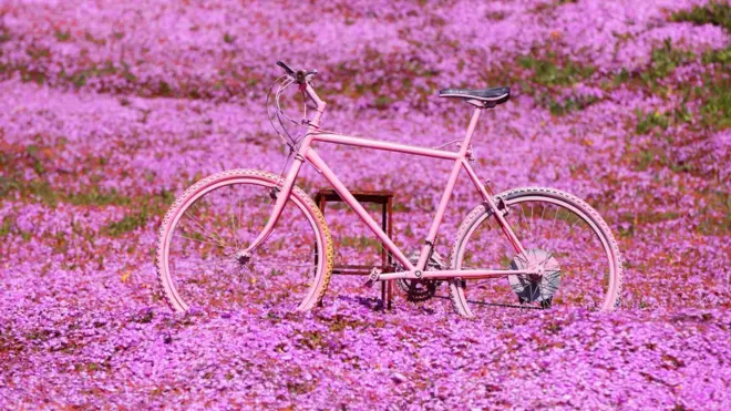 "Джиро д'Италия"