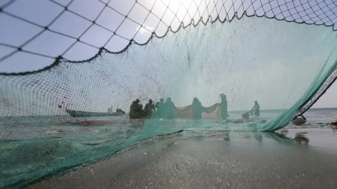 عکس آرشیوی از ماهیگیری در خلیج فارس - امارات