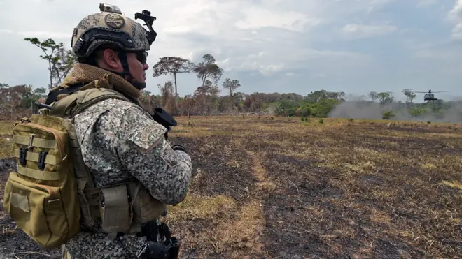 La deforestación en Colombia es un asunto de orden público y seguridad.