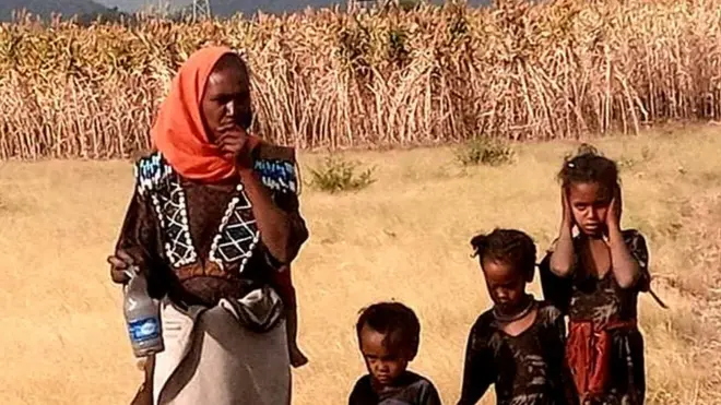 ኣብ ዞባ ደቡብ ትግራይ ዝኣተወ ሓያል ዕስለ ኣንበጣ ኣብ ልዕሊ ዘራእቲ ሓረስቶት ከቢድ ሃስያ ኣውሪዱ