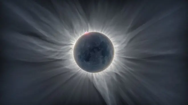 Corona de girasol Caitlin Beldea and Alson Wong