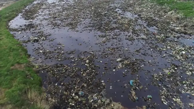 تلوث المياه