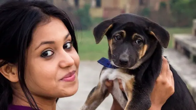 इंसान, जानवर