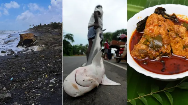 Sri Lanka ship disaster