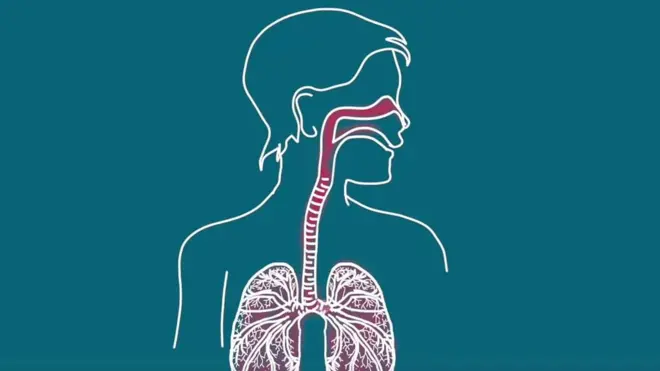 عندما تستيقض يوما تعطس وتسعل ولديك حمى وتشعر بألم في العضلات، كيف ستعلم إن كنت مصابا بالبرد أم بالإنفلونزا؟