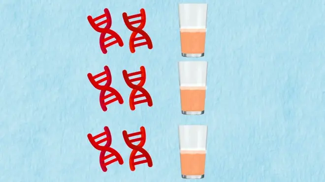 Alkol ve DNA grafiği