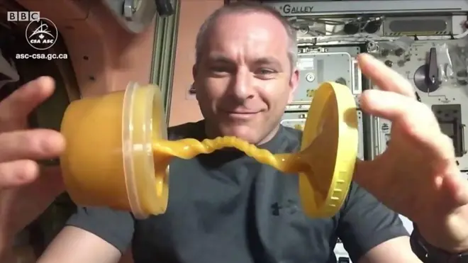 Ось так у невагомості поводиться мед