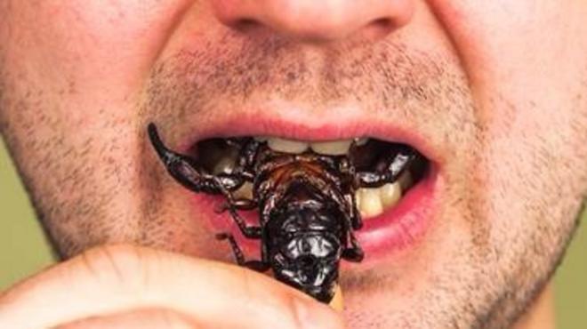 كيف يساعد أكل الحشرات على محاربة الجوع وتحسين البيئة؟