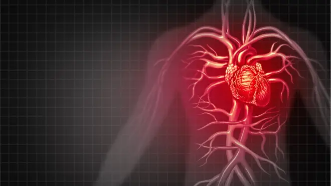 Kardiovaskularne bolesti jedan su od osnovnih uzroka smrtnosti u svetu, podaci su UN