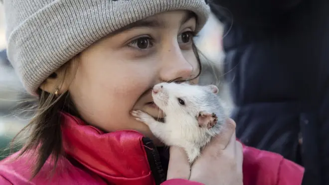 Seorang anak dan hewan peliharaannya terlihat di jalan yang rusak di Kyiv, Ukraina pada 18 Maret 2022.