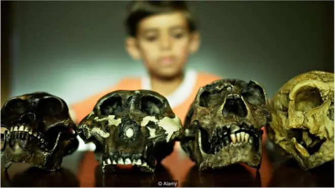 अगर समय का पहिया दोबारा घूमा तो इन्सान जन्म लेगा