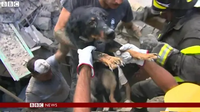 イタリア中部で24日に起きたマグニチュード(M)6級の地震で、山の尾根にある村ペスカラ・デル・トロントはほぼ全壊した。