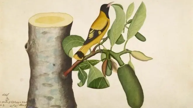 آج کے دور میں ایمپے کی ایلبم کے نمونے دنیا بھر کے عجائب گھروں میں موجود ہیں