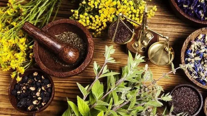 ආයුර්වේද