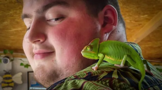 居住在威尔士的一名年轻人有着一份另类的工作。他将昆虫作为宠物出售，每月收入高达5000英镑。