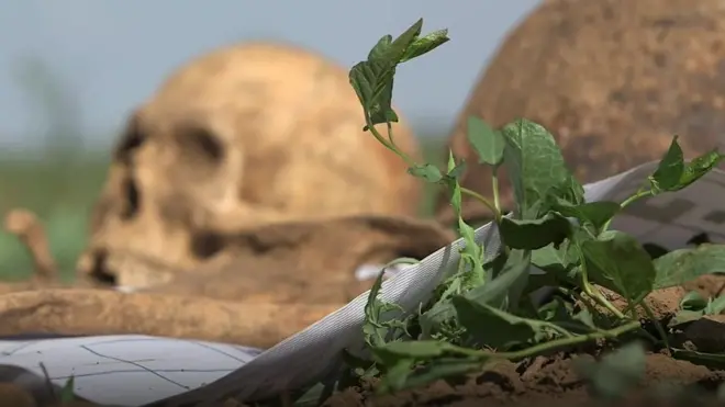 والگوگراڈ سٹیڈیم