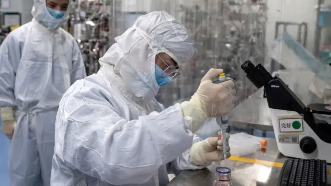 Un tipo de glóbulos blancos podrían ser cruciales en nuestra lucha contra covid-19.