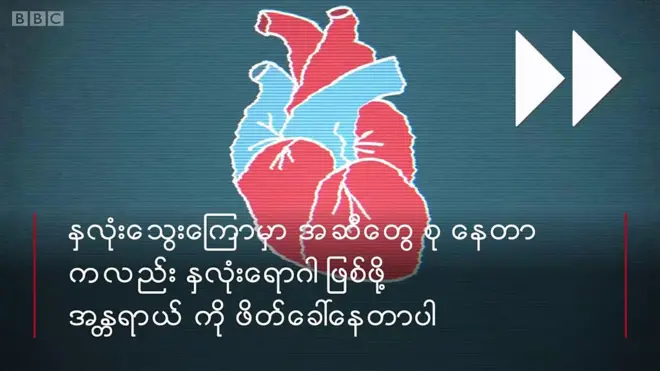 နှလုံးသွေးကြောထဲမှာ အဆီ များလာရင် နှလုံးရောဂါခံစား ရပြီး အလျင် အမြန် သေဆုံးတတ်