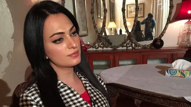 رمل کو پاکستانی میوزک بینڈ 'سوچ' کے حال ہی میں ریلیز ہونے والے گانے کی ویڈیو میں دیکھا جا سکتا ہے