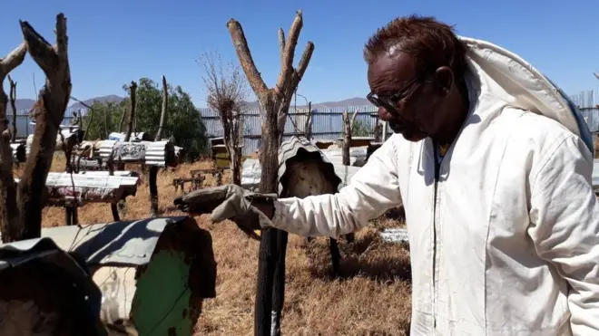 Cabdullaahi Ibraahim