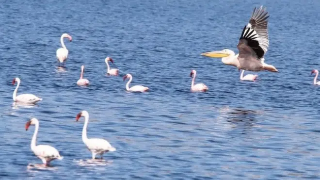 Haroo Abijaataa dur kana fakkaata