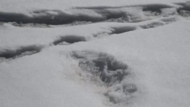 ییٹی کے قدموں کے نشان