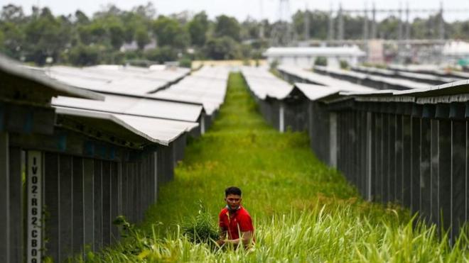 Nhà máy điện mặt trời Sao Mai ở An Giang. Ảnh chụp tháng 9/2022