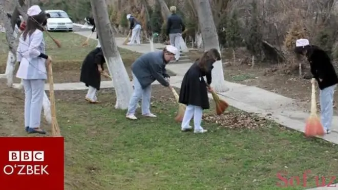 Mажбурий меҳнат муаммоси