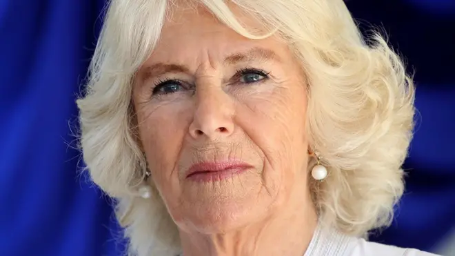 চরিত্র, চেহারা, বেশভূষা সারাক্ষণ আক্রমণের মুখে পড়েছেন ক্যামিলা।