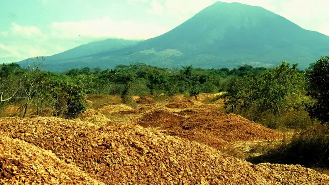 Over a thousand trucks brought the orange waste to the site in the Guanacaste Conservation Area