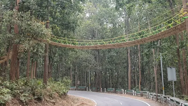 The 90-feet long bridge is made out of bamboo, jute and grass