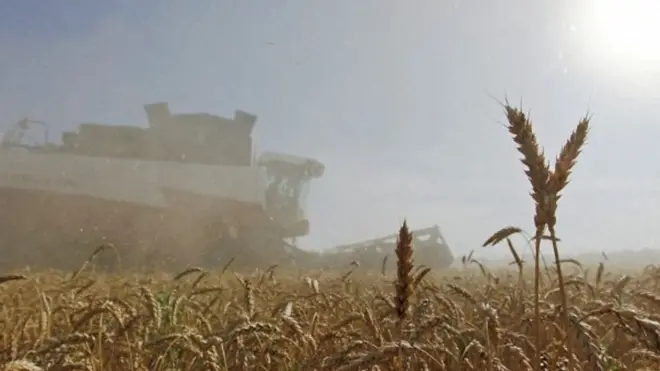 สงครามรัสเซีย-ยูเครน กระทบปากท้องคนทั้งโลกอย่างไร