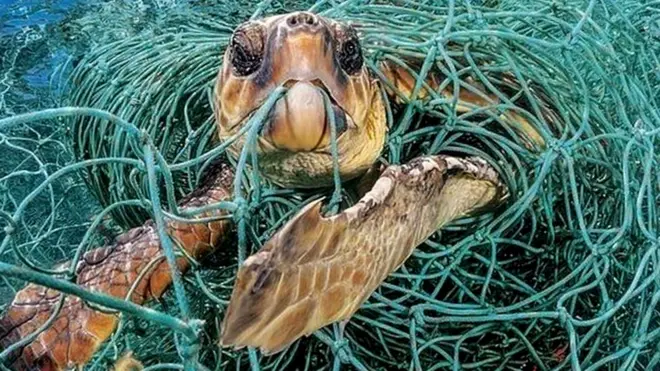 प्लास्टिक संकट