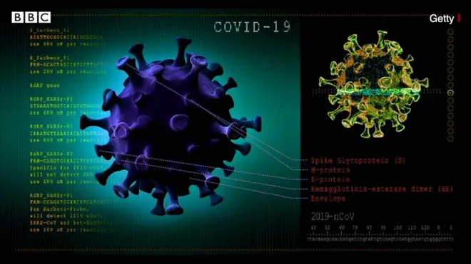 કોરોના વાઇરસ