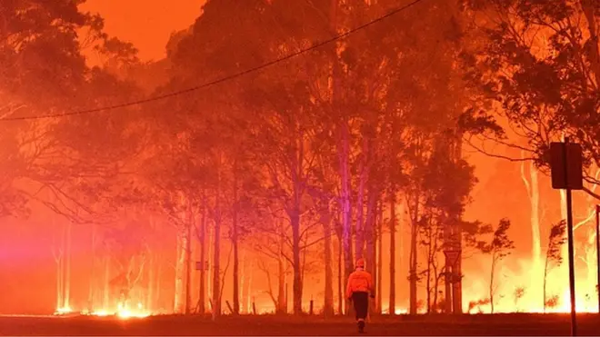 Australia bush fire 2019