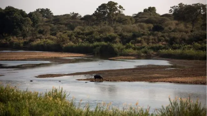 Les niveaux d'eau de la rivière Sabie sont en baisse à cause de la diminution des précipitations.