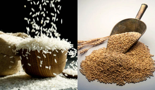 तांदूळ आणि गहू 