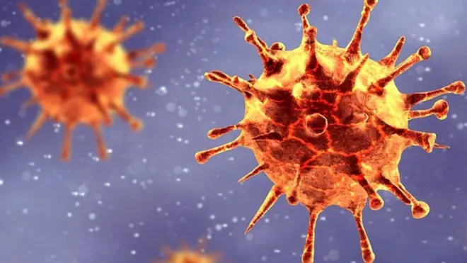 કોરોના વાઇરસ